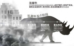 小心，中國產(chǎn)業(yè)園區(qū)的“灰犀?！庇謥砹?！